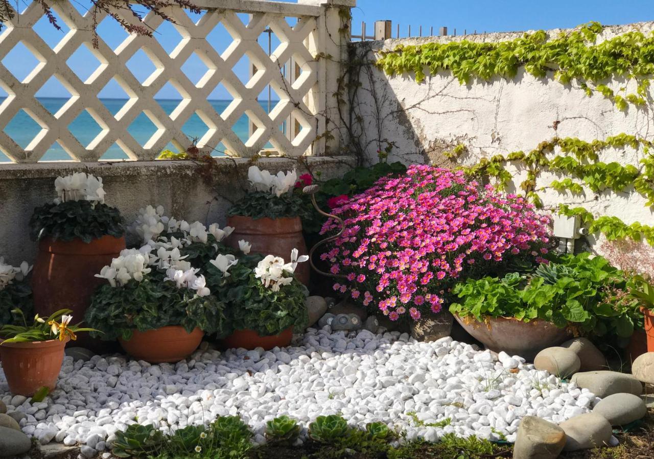 Il Giardino Sul Mare B&B 里瓦利古雷 外观 照片